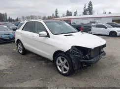 4JGDA5HB7HA832454 2017 MERCEDES-BENZ GLE