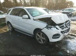 4JGDA5JB2HA881877 2017 MERCEDES-BENZ GLE