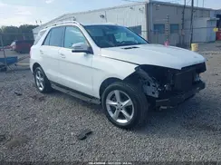 4JGDA5JB8HA858331 2017 MERCEDES-BENZ GLE