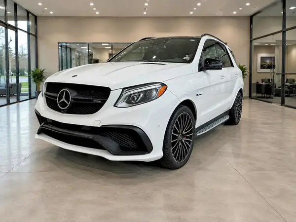 4JGDA7FB4GA806164 2016 MERCEDES-BENZ GLE - Image 2