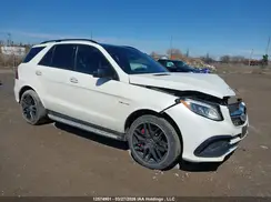 4JGDA7FB9HA954182 2017 MERCEDES-BENZ GLE
