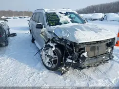 4JGDF6EE1JB021061 2018 MERCEDES-BENZ GLS-KLASSE