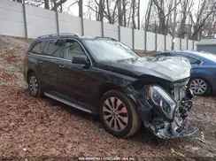 4JGDF6EE1KB225991 2019 MERCEDES-BENZ GLS-KLASSE