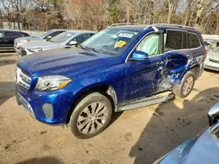 4JGDF6EE2HA839026 2017 MERCEDES-BENZ GLS-KLASSE