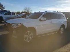 4JGDF6EE2HA921032 2017 MERCEDES-BENZ GLS-KLASSE