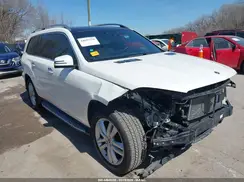 4JGDF6EE6KB226621 2019 MERCEDES-BENZ GLS-KLASSE