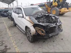 4JGDF6EE9KB232073 2019 MERCEDES-BENZ GLS-KLASSE