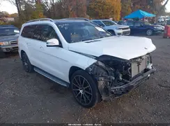 4JGDF6EEXKB236164 2019 MERCEDES-BENZ GLS-KLASSE
