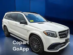 4JGDF7FE6KB224520 2019 MERCEDES-BENZ GLS-KLASSE