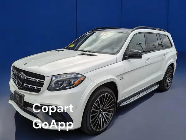 4JGDF7FE6KB224520 2019 MERCEDES-BENZ GLS-KLASSE - Image 2