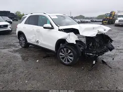 4JGFB4JB3LA173419 2020 MERCEDES-BENZ GLE