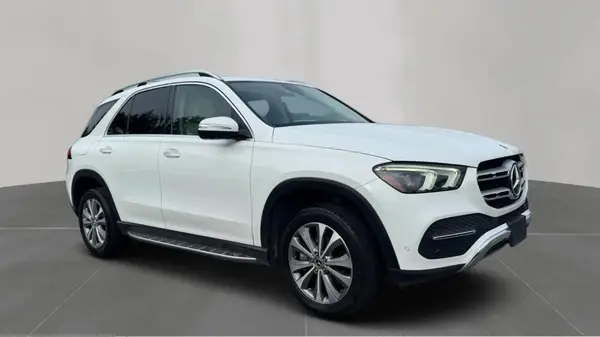 4JGFB4JB9LA120949 2020 MERCEDES-BENZ GLE - Image 1