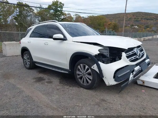 4JGFB4KB2LA038222 2020 MERCEDES-BENZ GLE - Image 1