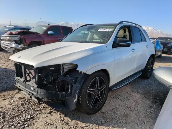 4JGFB4KE2LA162677 2020 MERCEDES-BENZ GLE - Image 1