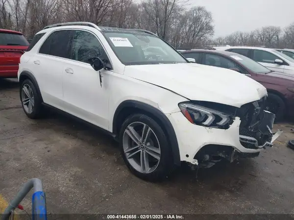 4JGFB5KE1LA009245 2020 MERCEDES-BENZ GLE - Image 1
