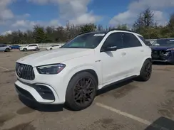 4JGFB8KB5RB234049 2024 MERCEDES-BENZ GLE