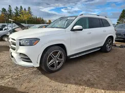 4JGFF5KE0LA148027 2020 MERCEDES-BENZ GLS-KLASSE