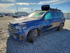 4JGFF5KE8RB202533 2024 MERCEDES-BENZ GLS-KLASSE