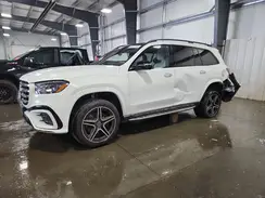 4JGFF5KE9RB113103 2024 MERCEDES-BENZ GLS-KLASSE