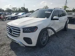 4JGFF5KEXRB087062 2024 MERCEDES-BENZ GLS-KLASSE