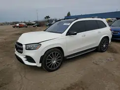 4JGFF8GE1LA166076 2020 MERCEDES-BENZ GLS-KLASSE