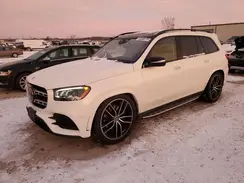 4JGFF8GEXLA174502 2020 MERCEDES-BENZ GLS-KLASSE