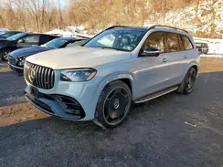 4JGFF8KE6RB138462 2024 MERCEDES-BENZ GLS-KLASSE