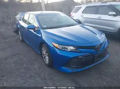 4T1B11HK0KU159917 2019 TOYOTA CAMRY