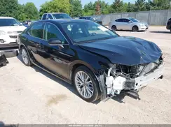4T1B11HK0KU167290 2019 TOYOTA CAMRY