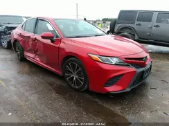4T1B11HK0KU170805 2019 TOYOTA CAMRY