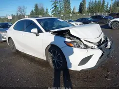 4T1B11HK0KU173218 2019 TOYOTA CAMRY
