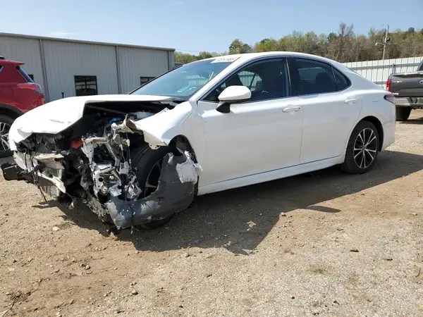 4T1B11HK0KU173428 2019 TOYOTA CAMRY - Image 1