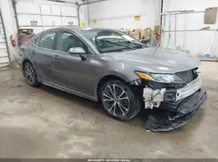 4T1B11HK0KU175647 2019 TOYOTA CAMRY