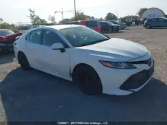 4T1B11HK0KU191301 2019 TOYOTA CAMRY