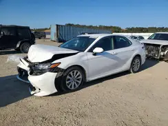 4T1B11HK0KU215290 2019 TOYOTA CAMRY