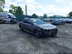 4T1B11HK0KU217556 2019 TOYOTA CAMRY