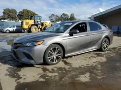 4T1B11HK0KU248113 2019 TOYOTA CAMRY