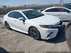 4T1B11HK0KU249066 2019 TOYOTA CAMRY