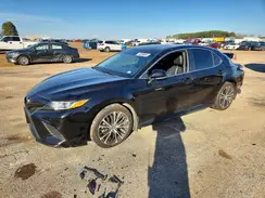 4T1B11HK0KU250556 2019 TOYOTA CAMRY
