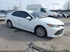 4T1B11HK0KU253134 2019 TOYOTA CAMRY