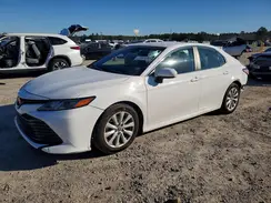 4T1B11HK0KU254896 2019 TOYOTA CAMRY