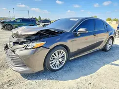 4T1B11HK0KU257006 2019 TOYOTA CAMRY