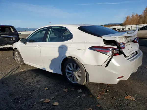 4T1B11HK0KU262285 2019 TOYOTA CAMRY - Image 2