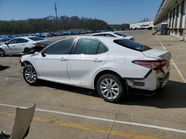 4T1B11HK0KU265736 2019 TOYOTA CAMRY - Image 2