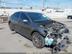 4T1B11HK0KU271438 2019 TOYOTA CAMRY