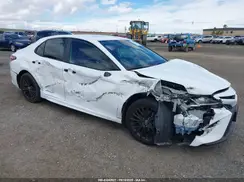 4T1B11HK0KU275988 2019 TOYOTA CAMRY
