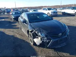 4T1B11HK0KU287882 2019 TOYOTA CAMRY