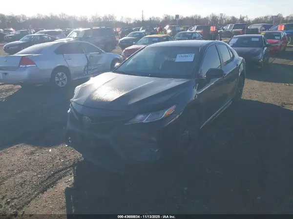 4T1B11HK0KU287882 2019 TOYOTA CAMRY - Image 2