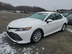 4T1B11HK0KU290281 2019 TOYOTA CAMRY