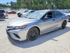 4T1B11HK0KU295044 2019 TOYOTA CAMRY